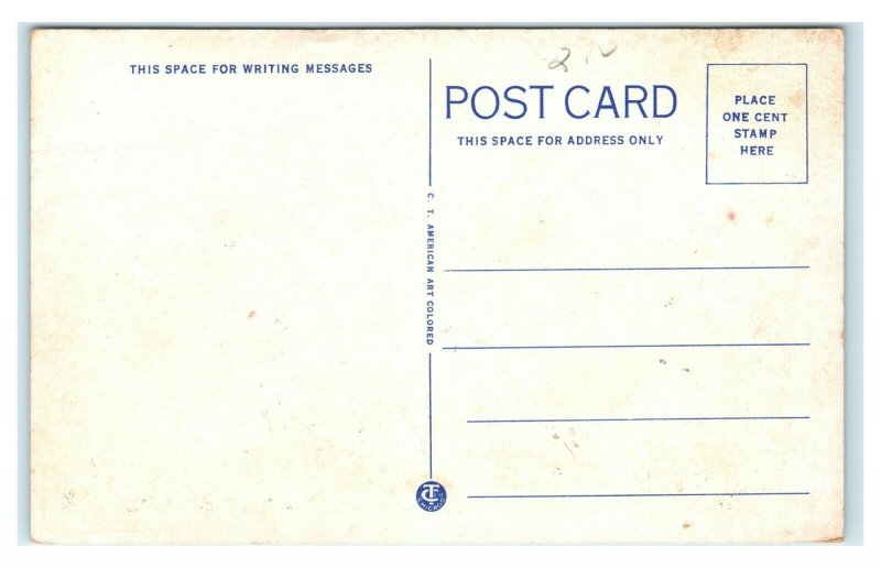 Postcard Steamer Put-In-Bay, Detroit MI T33