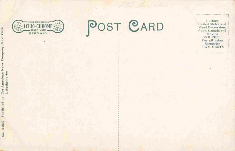 High School Fremont Ohio 1910c postcard