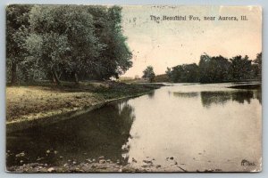 Aurora  Illinois  The Beautiful Fox  1907  Postcard