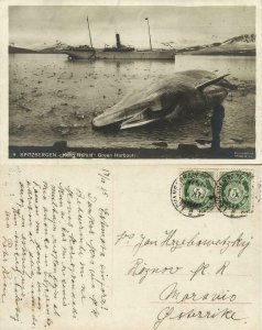 norway, SPITSBERGEN SVALBARD, Green Harbour, Steamer Kong Harald, Whale (1915)