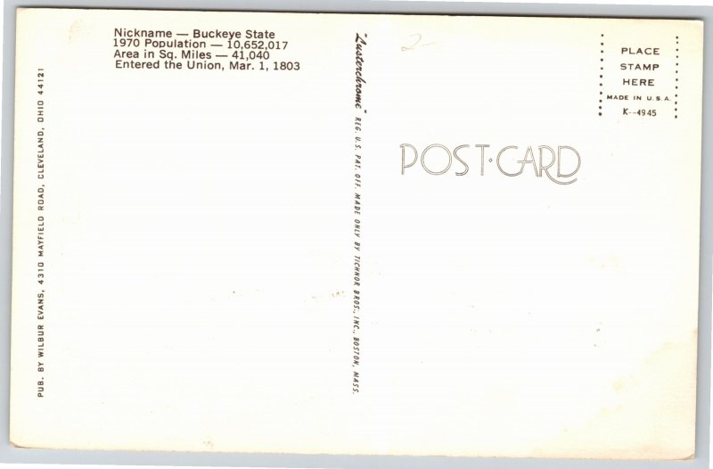 State Maps~State Flag Bird Flower Tree & Map of Ohio~Vintage Postcard