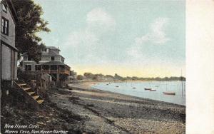 New Haven Connecticut~New Haven Harbor~Morris Cove~Boats in Water~Homes~1905 PC