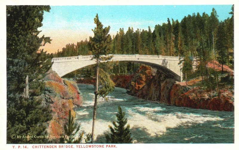 Vintage Postcard Chittenden Concrete Bridge Across The River Yellowstone Park WY