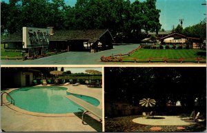 Vtg 1950s Safari Garden Motel Chico California CA Unused Postcard