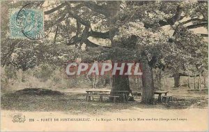 Postcard Old Forest of Fontainebleau The Murger Shelf Mare related (George au...