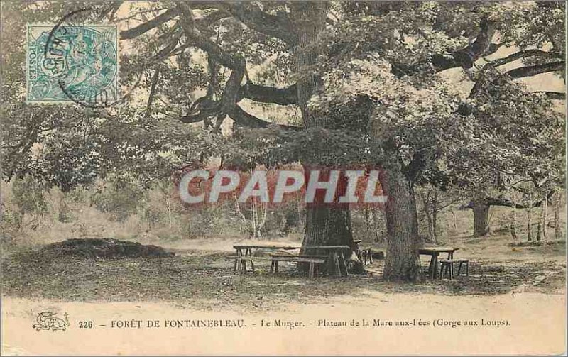 Postcard Old Forest of Fontainebleau The Murger Shelf Mare related (George au...