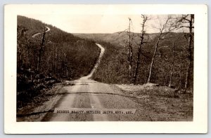 Mena Arkansas~Up and Down on Beautiful Skyline Drive Makes One Dizzy RPPC 1940s