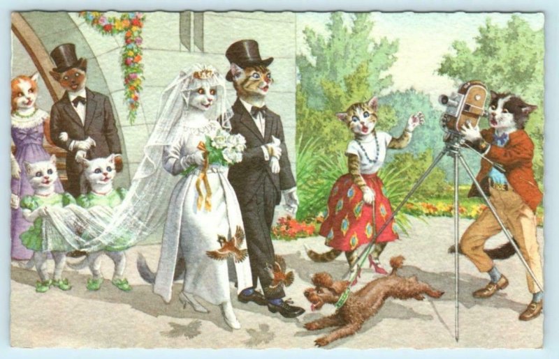 Mainzer Dressed Cats WEDDING BRIDE & GROOM Kittens #4938 Belgium  Postcard