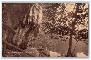 North Yorkshire England Postcard Knaresborough Dropping Well c1920's Sepiatone