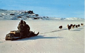 Canada - Labrador, Moravian Missions. Kommetik & Sled Dogs