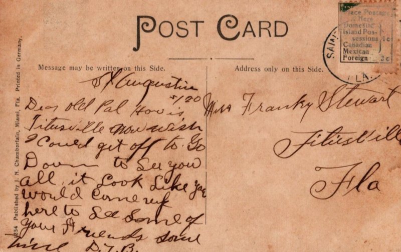 SAGO PALM MIAMI FLORIDA POSTCARD (c. 1908)