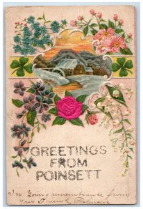 c1910's Greetings From Poinsett Winter Embossed Arkansas Correspondence Postcard