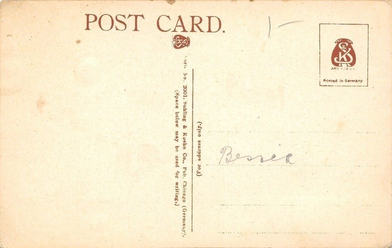 Peoria Illinois~John C Proctor Endowment Home~Spring Street~1908 Postcard