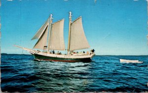 The chooner Rachael and Ebenezer Buitl In 1975 In Bath Maine