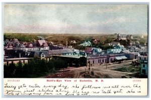 Enderlin North Dakota ND Postcard Bird's Eye View Of Residence Section 1911