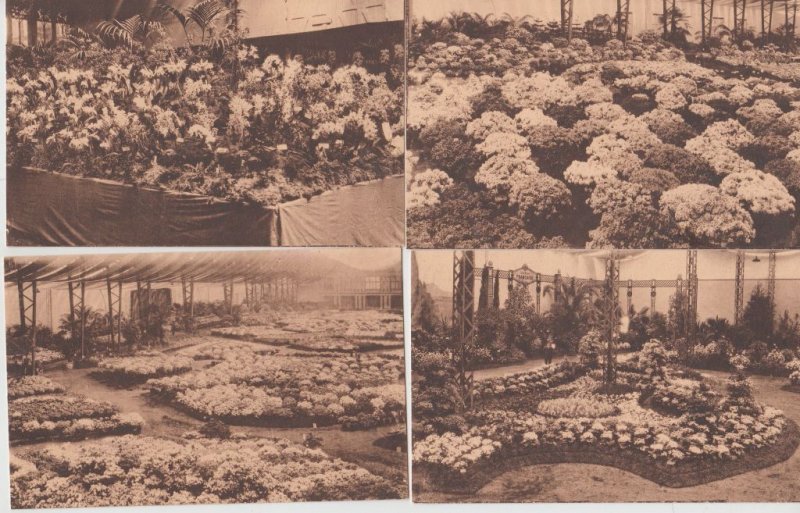 FLOWER EXPOSITION Gand 1908, 1933,1955 Belgium 42 Vintage Postcards (L5473)