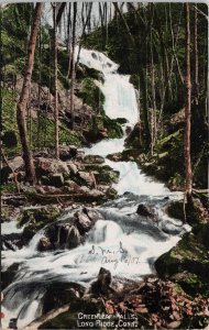 Greenleaf Falls Long Ridge CT c1907 Postcard H51