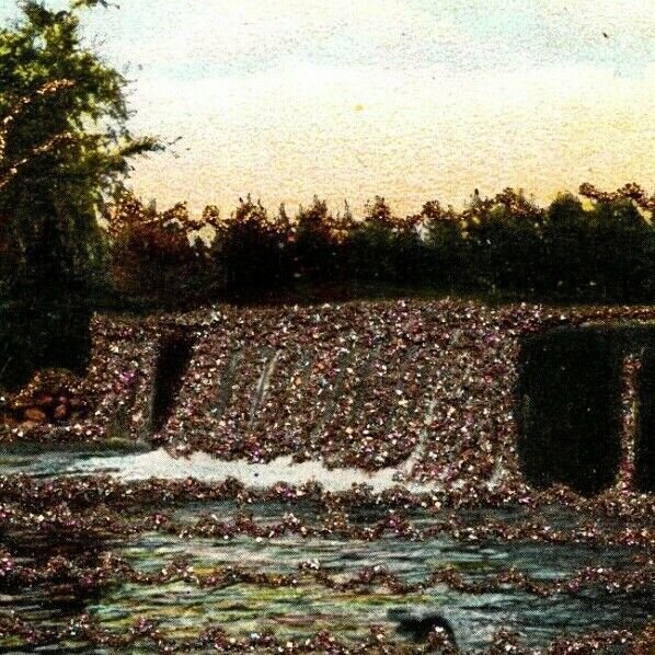 Vintage 1910's Postcard Glitter Covered Landscape Oconomowoc Falls Wisconsin