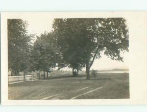 Old rppc NATURE SCENE Great Postcard AB0474