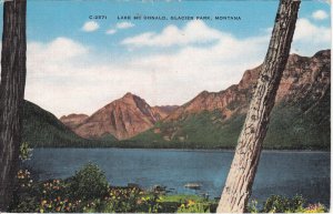 United States Montana Glacier Park Lake Mc Donald scenic postcard 