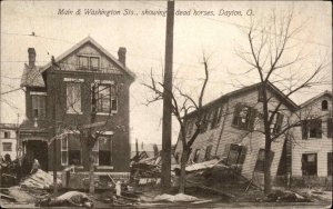 Dayton Ohio OH Main St. Dead Horses Natural Disaster 1900s-10s Postcard