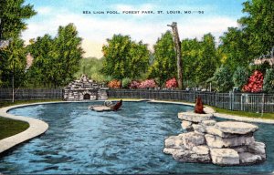 Missouri St Louis Forest Park Sea Lion Pool