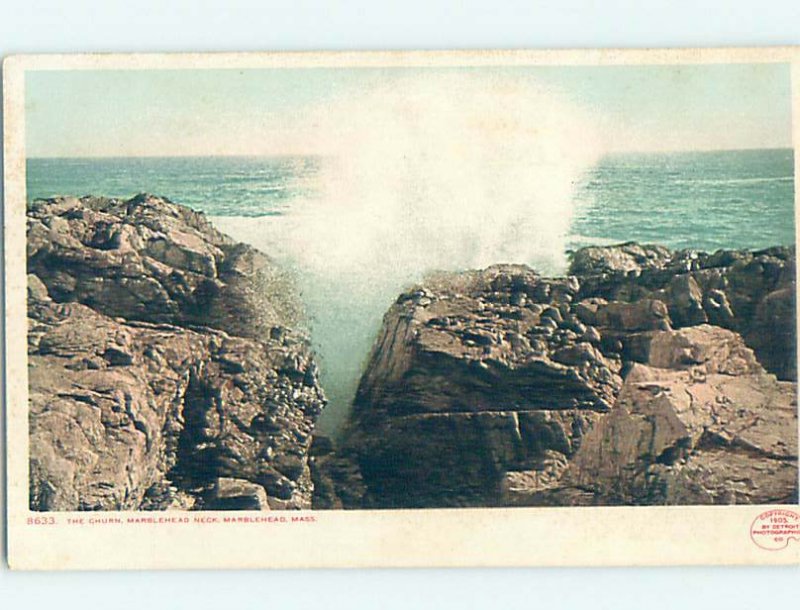 Divided-back NATURE SCENE Marblehead Massachusetts MA AD7844