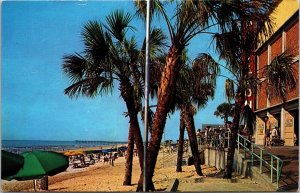 Myrtle Beach South Carolina Palm Trees Ocean View Chrome Cancel WOB Postcard 