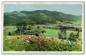 1915 Mount Starr King And Jefferson New Hampshire NH Posted Trees Postcard