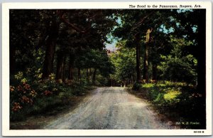 Rogers Arkansas AR, The Road to the Panorama, Driveway, Lined Up Trees, Postcard