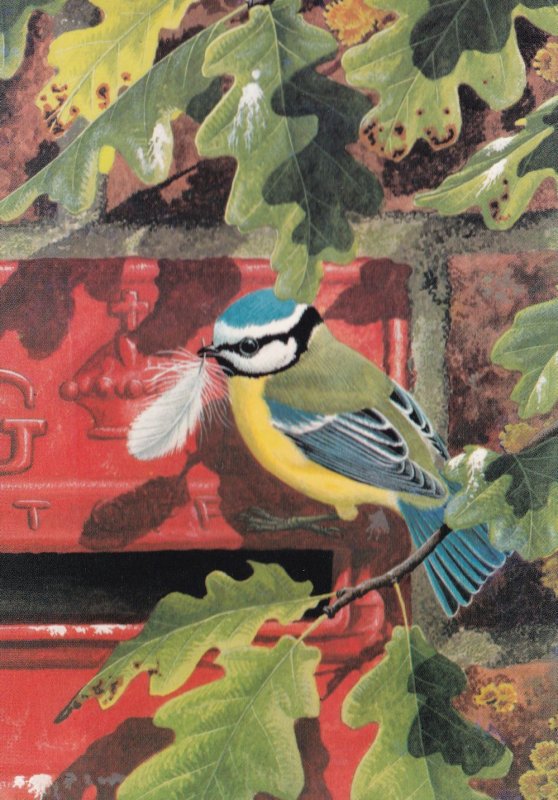 Warwickshire Blue Tit Bird Royal Mail Advertising Painting Postcard