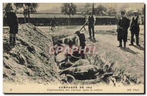  Vintage Postcard Militaria Hiding of the horses after the combat