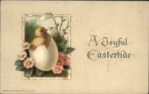 Easter Chick Hatching Egg Flowers Embossed Winsch c1912 Postcard