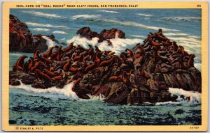 San Francisco California CA, 1948 Seal Herd on Rocks, near Cliff House, Postcard