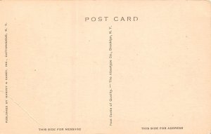 Cattaraugus New York South Main Street, B/W Lithograph Vintage Postcard U12003