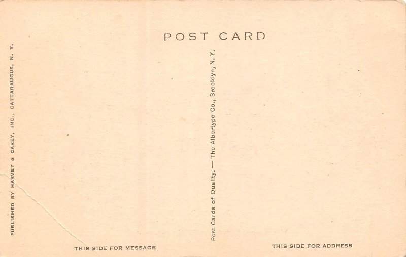 Cattaraugus New York South Main Street, B/W Lithograph Vintage Postcard U12003