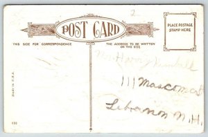 Thanksgiving Greetings  Turkeys  Postcard