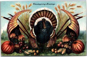 Postcard Thanksgiving Greetings Turkey between cornucopias