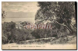 Old Postcard Ajaccio City Travers Les Oliviers