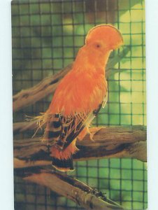 Pre-1980 BUSCH GARDENS Los Angeles California CA AF9691