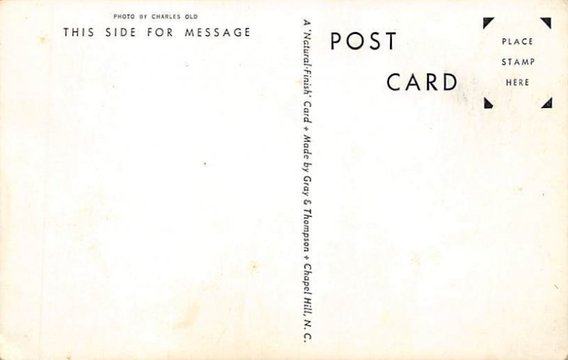 World War Memorial Columbia, South Carolina Postcard