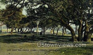 Live Oaks And Parade Grounds - Fortress Monroe, Virginia