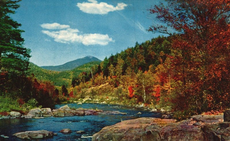 Vintage Postcard Greetings From Masten Lake New York Summer Rusting Into Autumn
