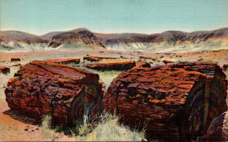 Arizona Petrified Forest Agatized Logs Curteich