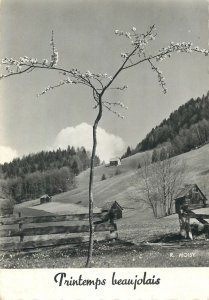 Postcard France Printemps Beaujolais picturesque scenery