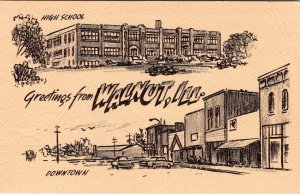 Walnut, IL Illinois HIGH SCHOOL & DOWNTOWN 1982 Artist Norman Ramsey Postcard