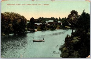 Postcard Owen Sound Ontario Sydenham River Scenic View Canoe Cottages *as is*