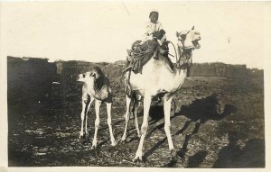 1920s RPPC Postcard;  Boy Riding White Camel with Calf, North Africa, Unposted