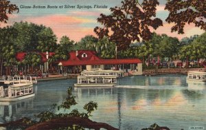 Vintage Postcard Glass Bottom Boats Underwater Fairyland Silver Springs Florida