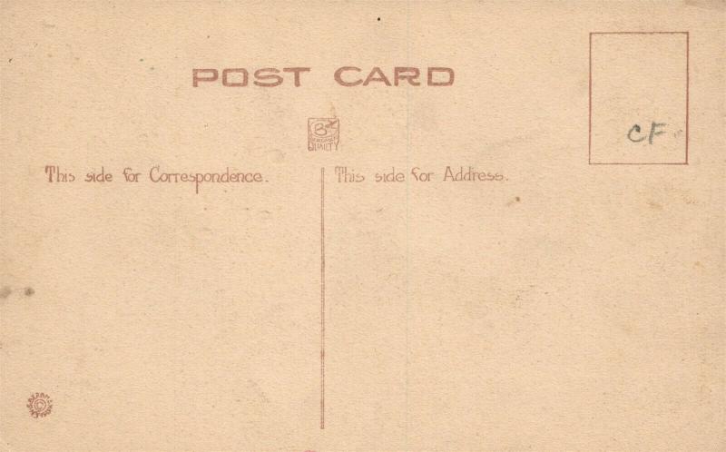 AMERICAN INDIAN CHIEF HAND COLORED ANTIQUE early 20th century POSTCARD